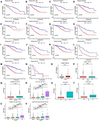 A Novel M7G-Related MicroRNAs Risk Signature Predicts the Prognosis and Tumor Microenvironment of Kidney Renal Clear Cell Carcinoma